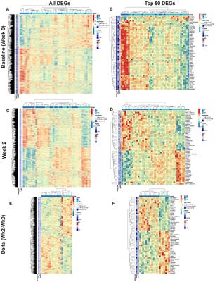 Pre-vaccination transcriptomic profiles of immune responders to the MUC1 peptide vaccine for colon cancer prevention